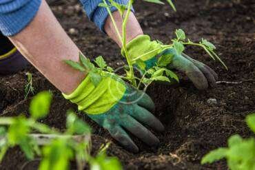 Irrigation Systems: What are They and Why You Need One