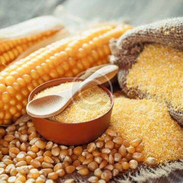 Sprinkler Irrigation: Why Successful Farmers Use It