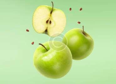 Weather Limitations and Greenhouses