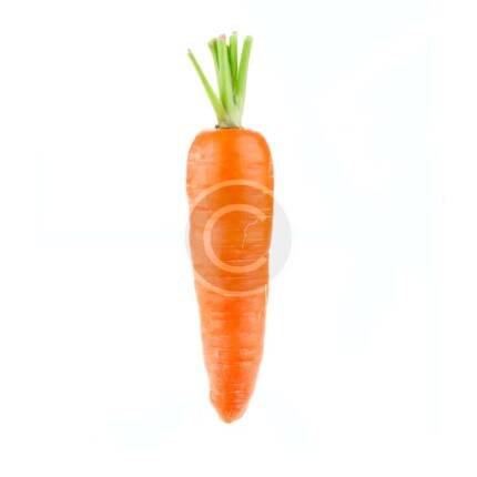 Carrot