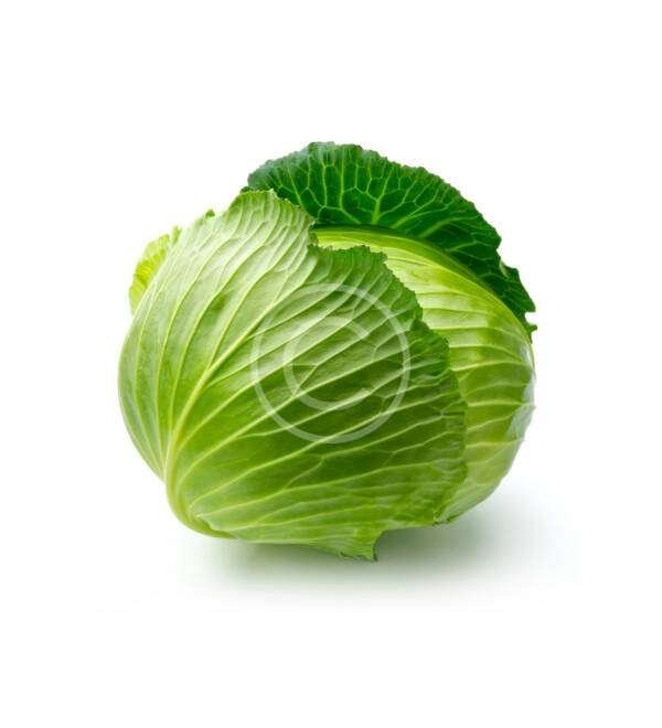 Green Cabbage