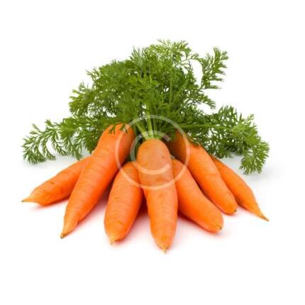 Organic Carrot