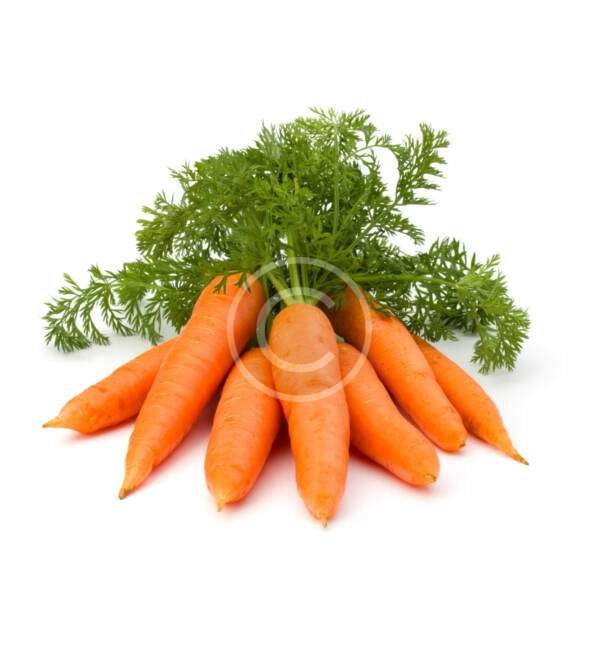 Organic Carrot