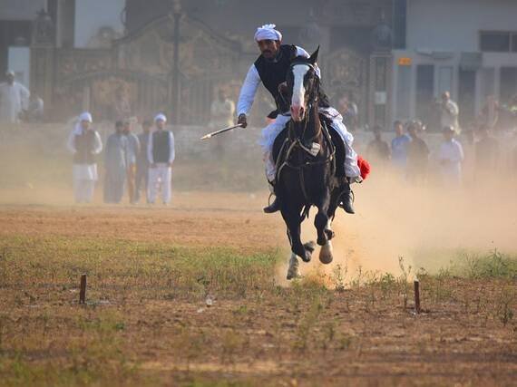 tent-pegging-7026378_640