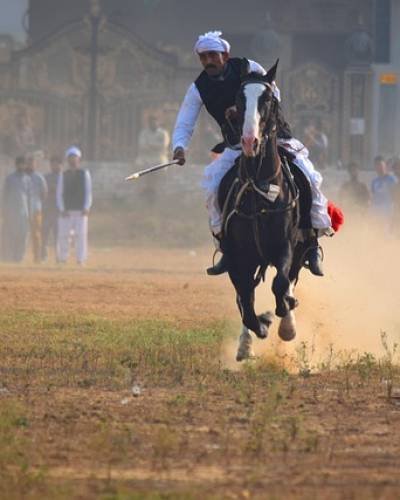 tent-pegging-7026378_640